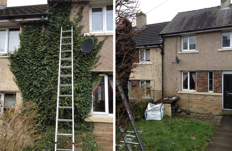 Ivy Removal from Clear View House Clearances